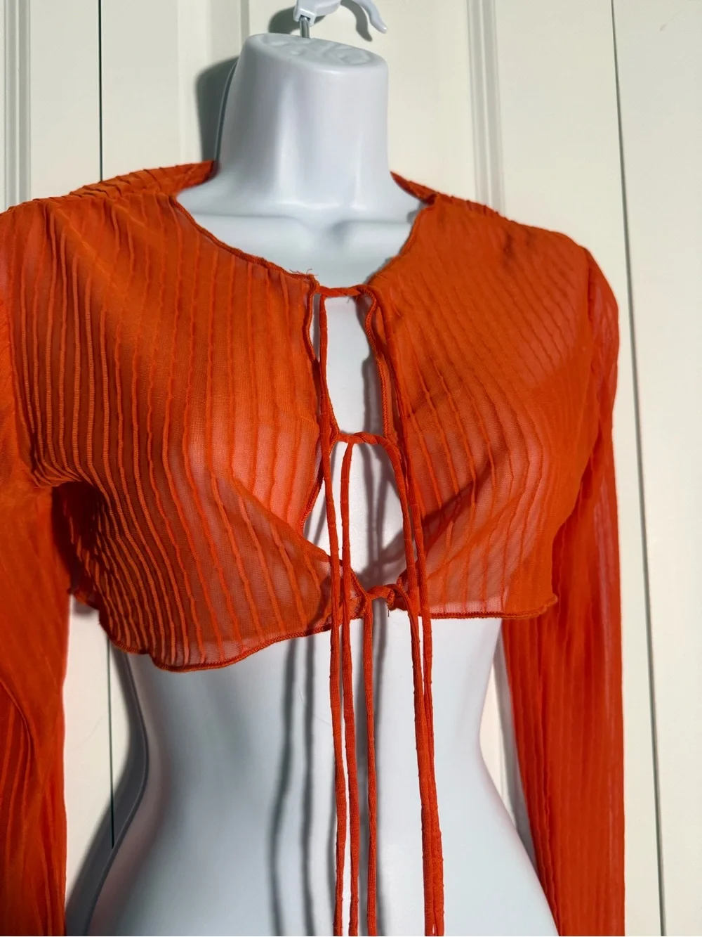 Zara sheer cropped